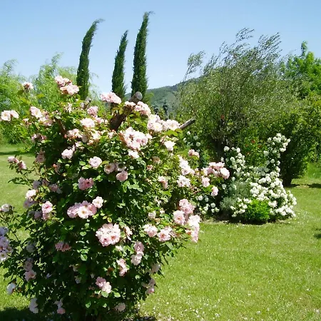 Agriturismo Rosa 农家乐 *